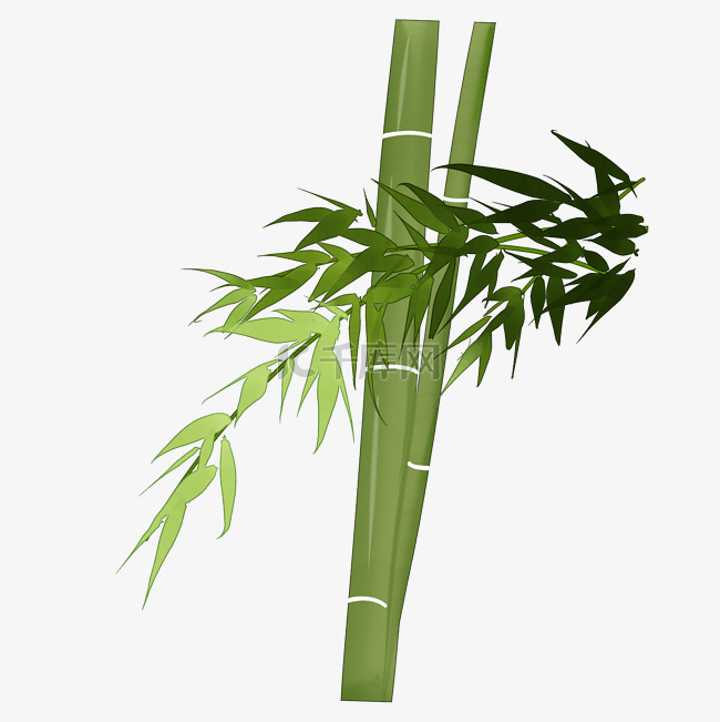 绿色竹子插画背景