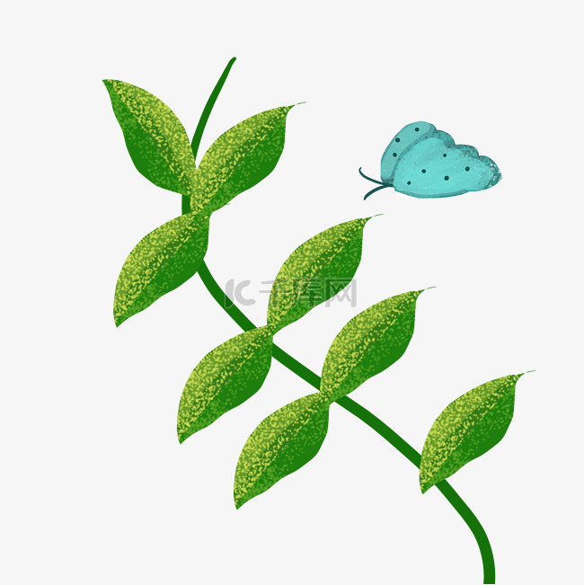 蓝色蝴蝶植物插图