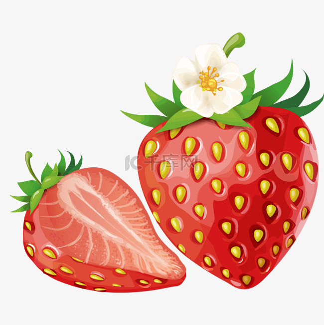 农副产品之新鲜草莓