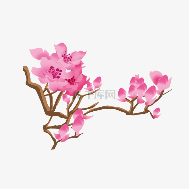 春季飘荡的樱花插画