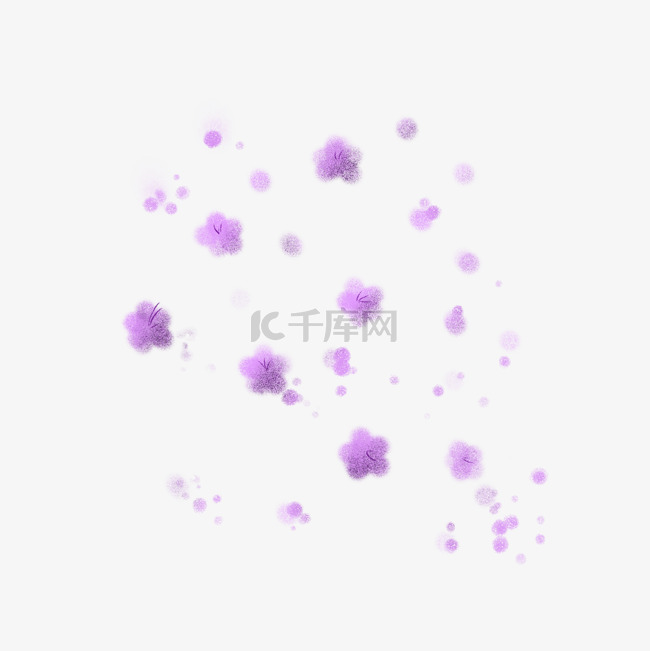 紫色落叶花朵花瓣落花