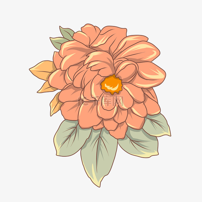 橙色唯美小清新水彩花卉插画