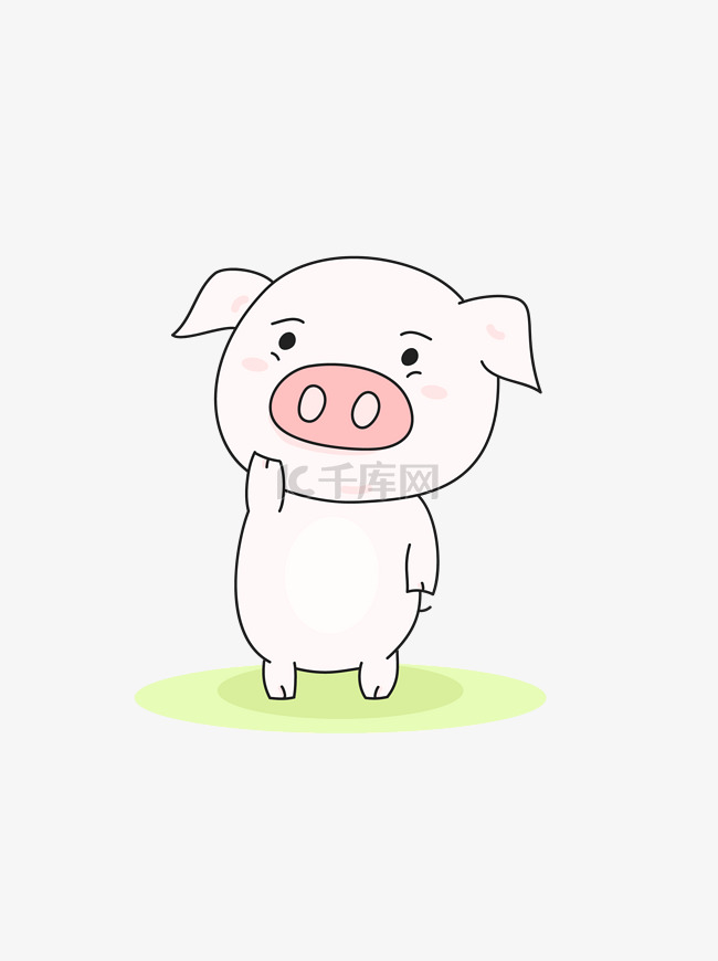 2019生肖猪猪年猪