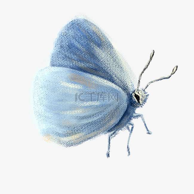 一只水蓝色的卡通手绘蝴蝶