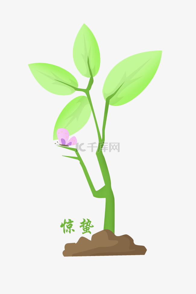 植物小树 