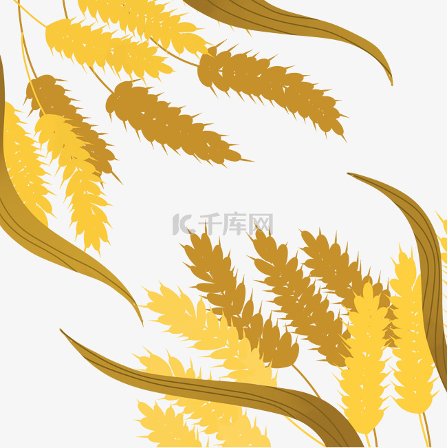 手绘秋天金黄的麦穗1