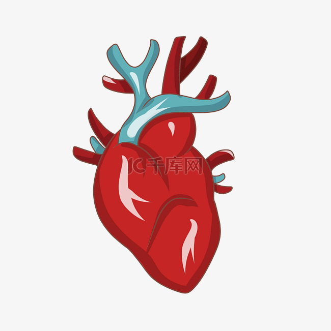 手人体器官心脏插画