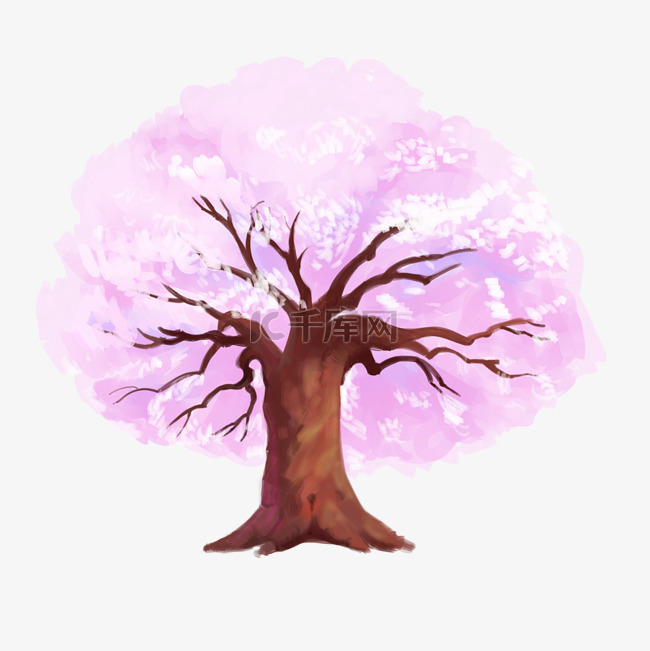 粉红樱花树 