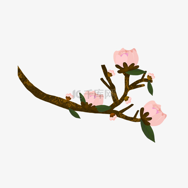 粉色的鲜花花卉插画