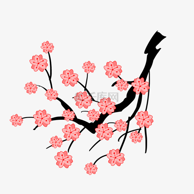 春季樱花花枝
