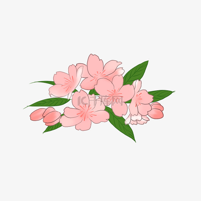 粉色樱花装饰插画