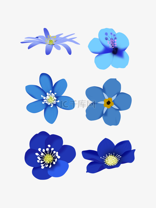 花朵蓝色小清新
