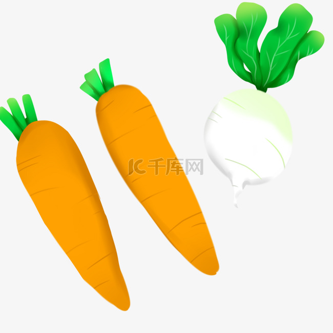 手绘新鲜蔬菜青萝卜三只萝卜