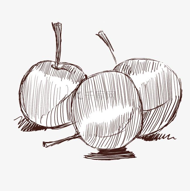 线描苹果手绘插画