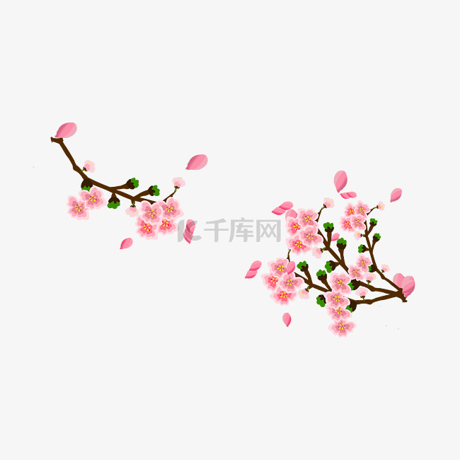 春季粉色的樱花插画