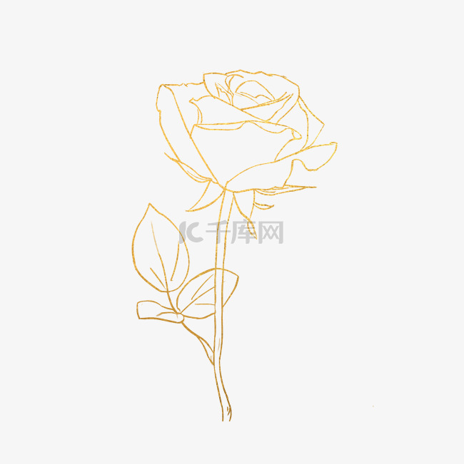 手绘金色玫瑰花设计