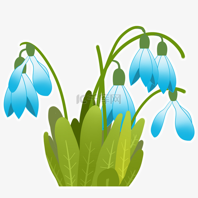 手绘蓝色的花朵插画
