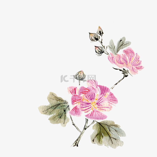 中国古风花卉插画夹竹桃