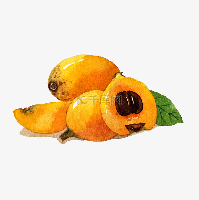 五月枇杷美味黄色水果水彩PNG