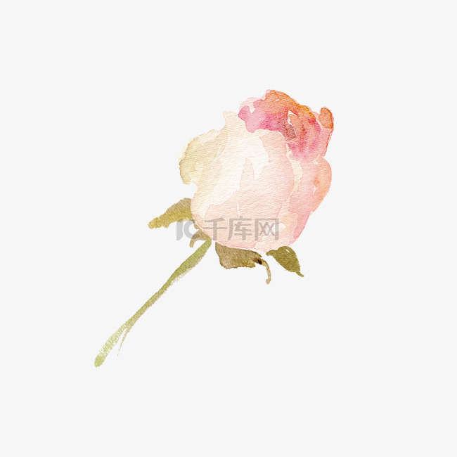 森系小清新水彩手绘花朵玫瑰