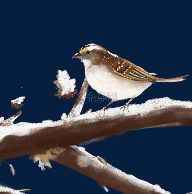 小雪主题树枝积雪与小鸟
