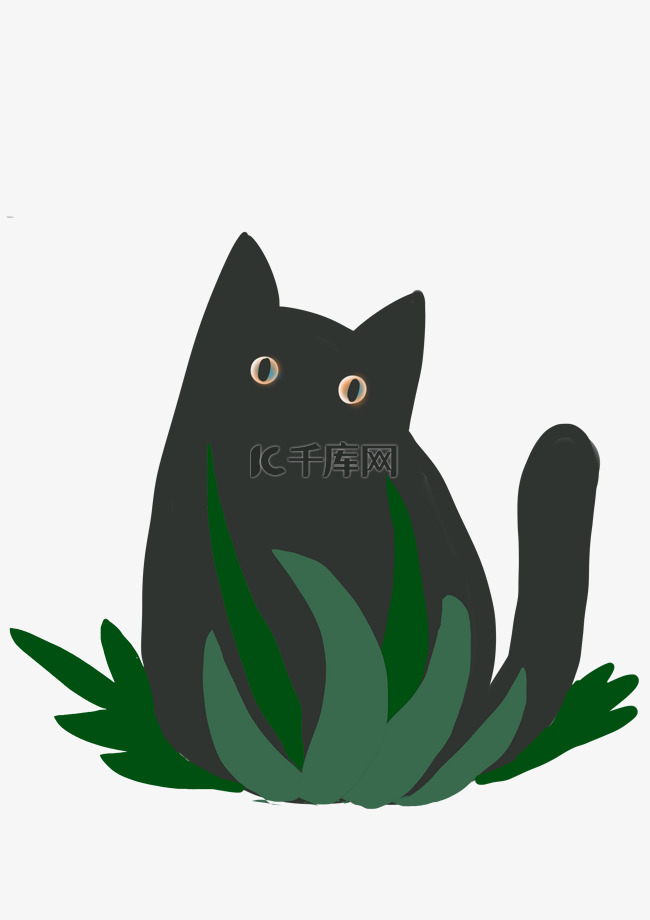 草丛黑猫 