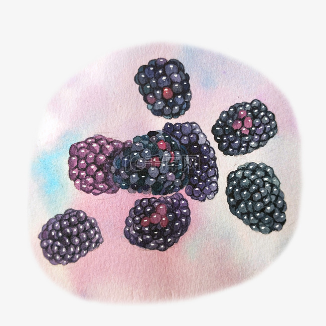水果桑葚紫色鲜果甜美PNG