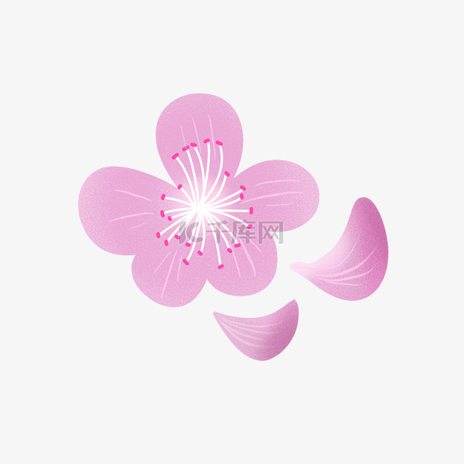 樱花花瓣插画PNG图片