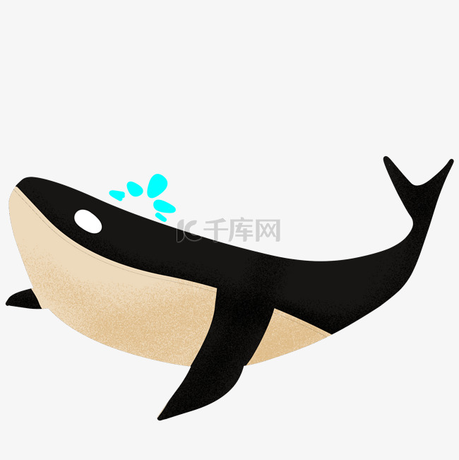 手绘黑色鲸鱼插画