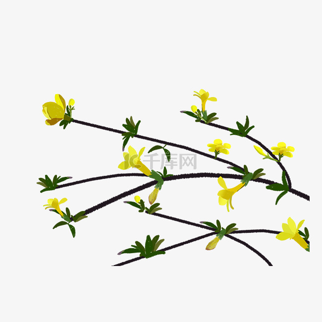 春天植物黄色小清新迎春花免抠高