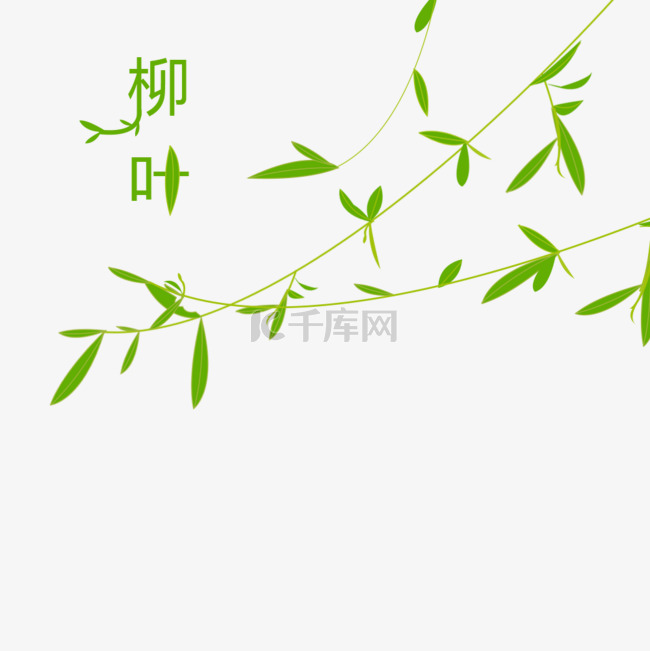 分发芽的三条嫩绿柳叶