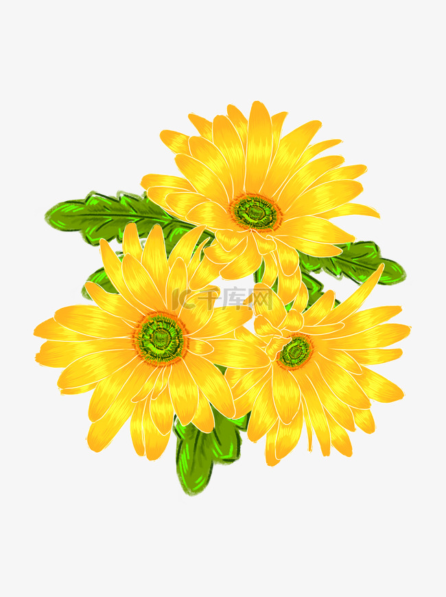 手绘三朵黄色菊花免抠设计元素