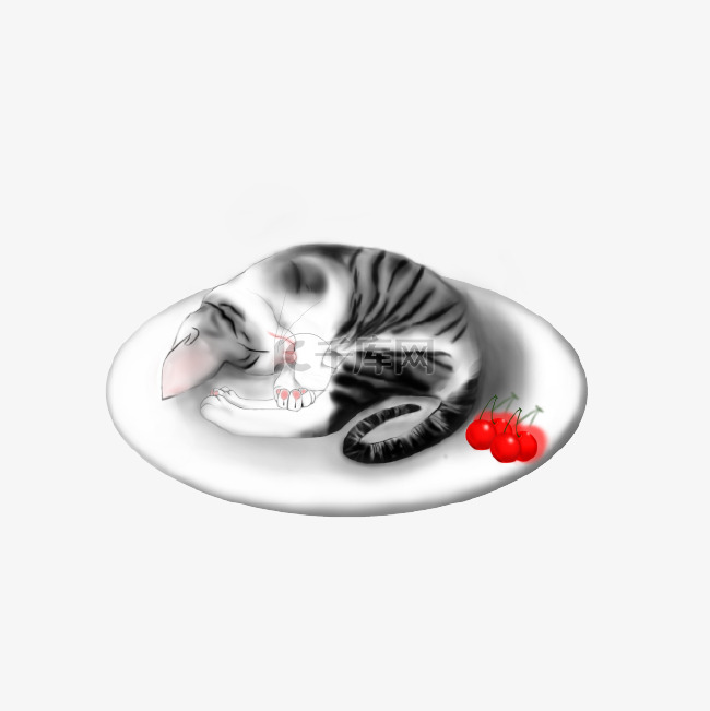 猫黑白经典色风小猫睡在碟子里