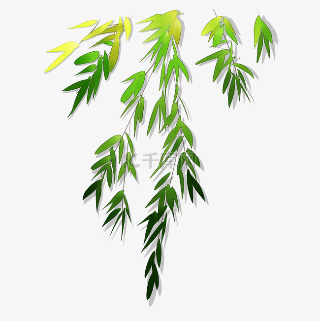 手绘绿色竹子插画装饰