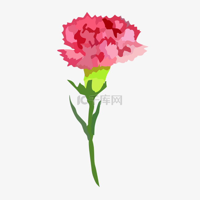 粉红色手绘母亲节康乃馨免抠素材