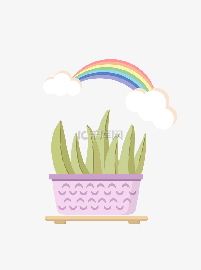 简约植物盆栽与彩虹