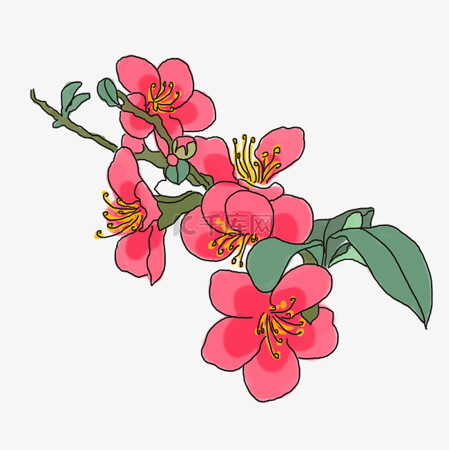 中国风手绘花卉插图