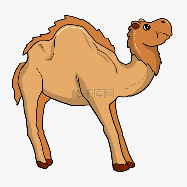 卡通沙漠骆驼插画