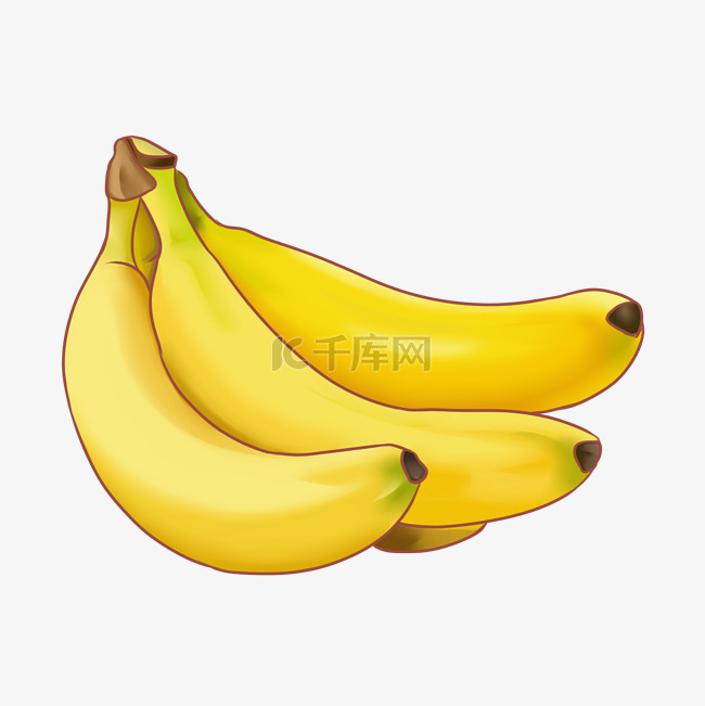 新鲜香蕉水果插画