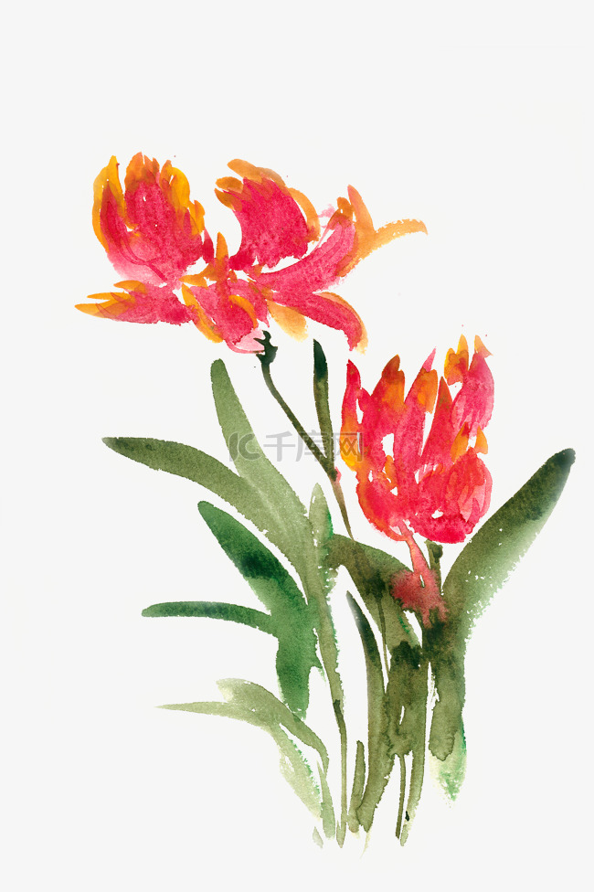 鲜艳的花卉水彩画PNG免抠素材