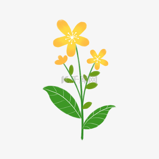 春天绿色植物黄色花朵