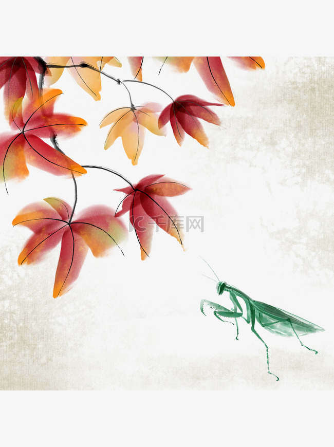 可商用水墨国画中国风昆虫螳螂枫