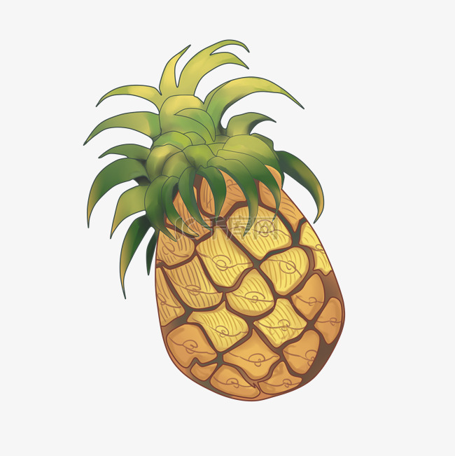 水果菠萝插画元素