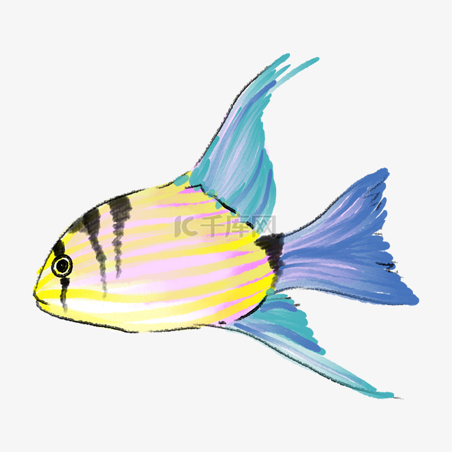黄色的漂亮热带鱼插画