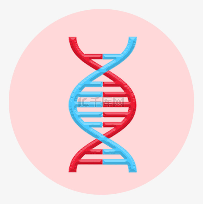 DNA螺旋结构插画