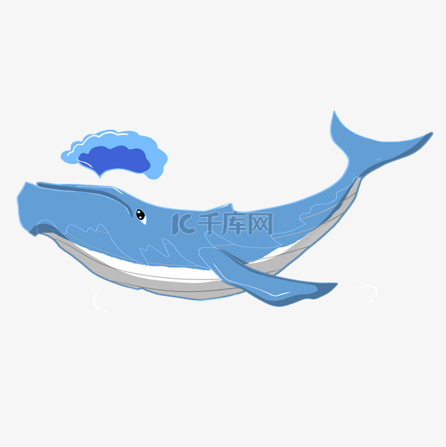 蓝色喷口水鲸鱼