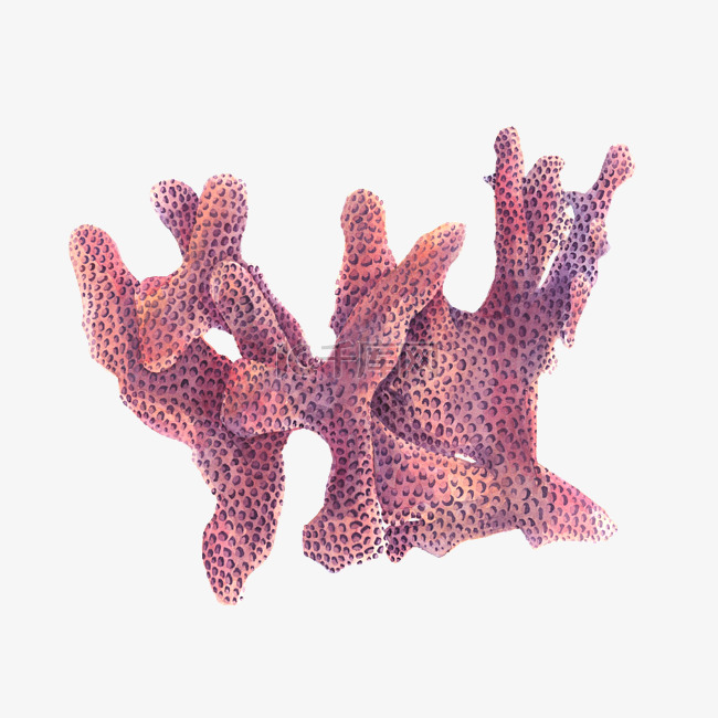 AI手绘珊瑚插画矢量图