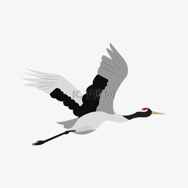 手绘飞翔的白鹤插画