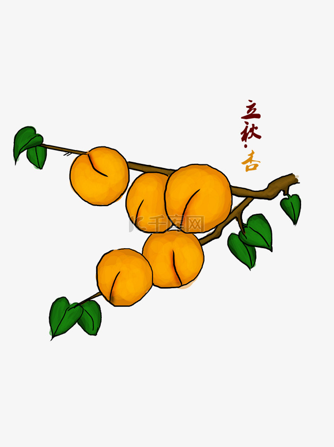 立秋24二十四节气商用元素黄杏