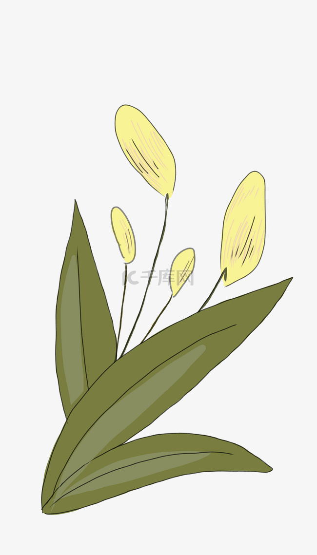 黄色植物小花插画